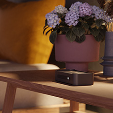 descripción de la imagen