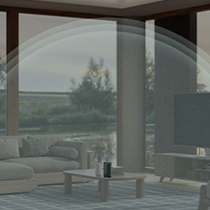 descripción de la imagen