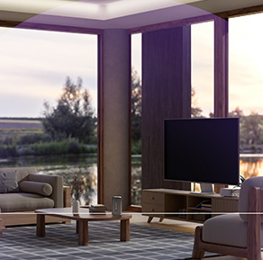 descripción de la imagen