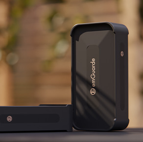 descripción de la imagen